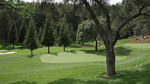 Meadowood Golf Course — Hole 6